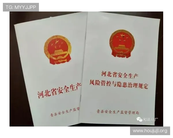 欧博官网安全风险评估与应对策略全面解析保障平台持续安全运行